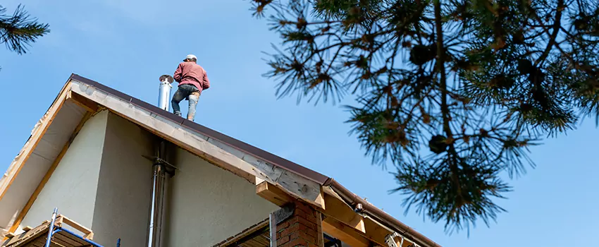Birds Removal Contractors from Chimney in Eloy, AZ